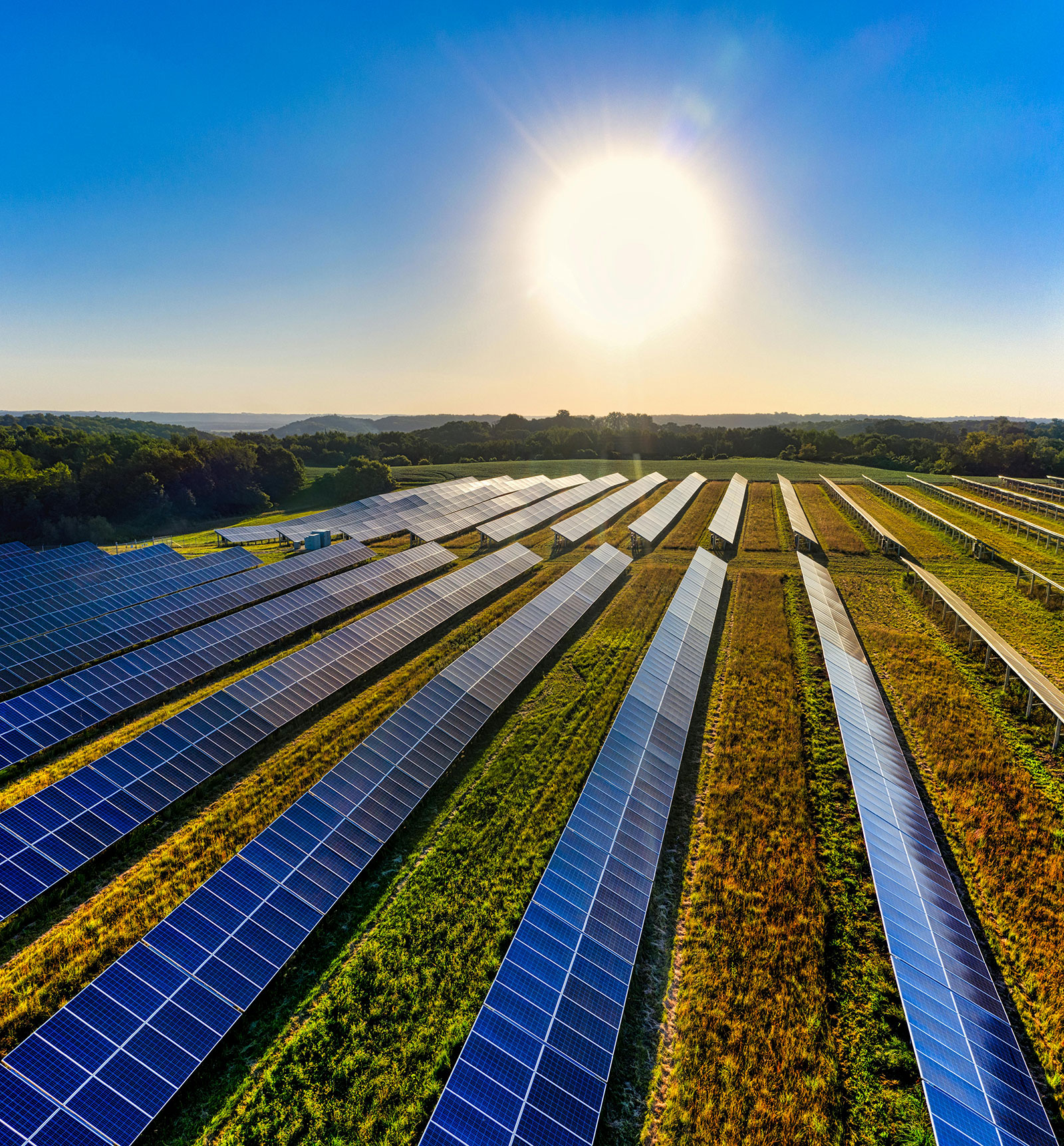 Solar farm diversified with wind turbines